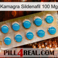 Kamagra Sildenafil 100Mg new09
